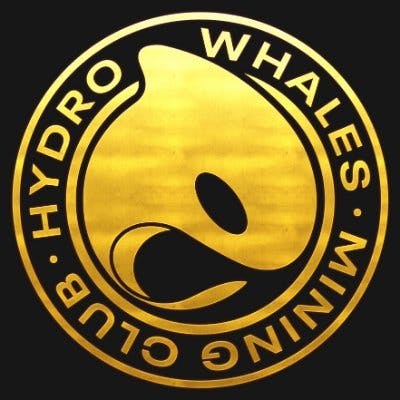 Hydro Whales Mining Club